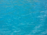 Original Size: 480 x 360, 83KB