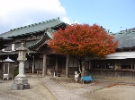 Original Size: 480 x 360, 87KB