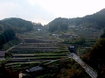 Original Size: 480 x 360, 82KB