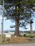 Original Size: 360 x 480, 146KB