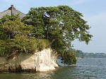 Original Size: 320 x 240, 21KB