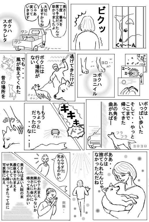 kokoni7.jpg