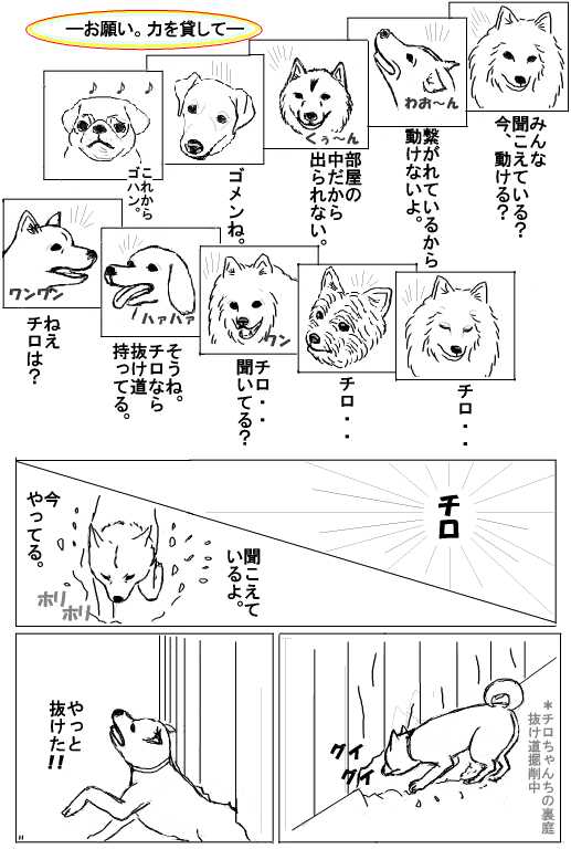 mirakuru11.jpg