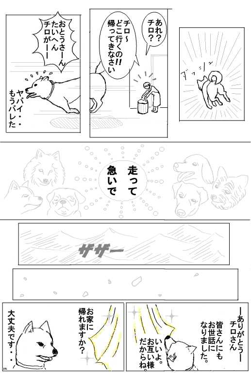 mirakuru12.jpg