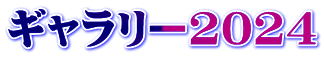 ギャラリー2024